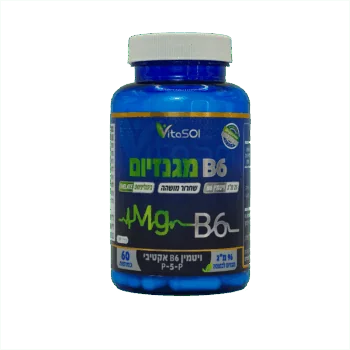 B6 מגנזיום