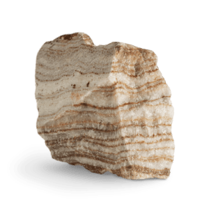 מגנזיום ציטראט, מגנזיום אוקסיד, מגנזיום טאורט, מגנזיום גליצינאט - איזה מגנזיום הכי טוב ולמה? 4 lazy