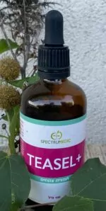 TEASEL+