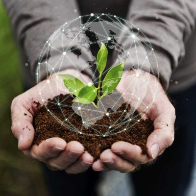 פיתוח פורמולה – טכנולוגיה וטבע פיתוח פורמולה - טכנולוגיה וטבע