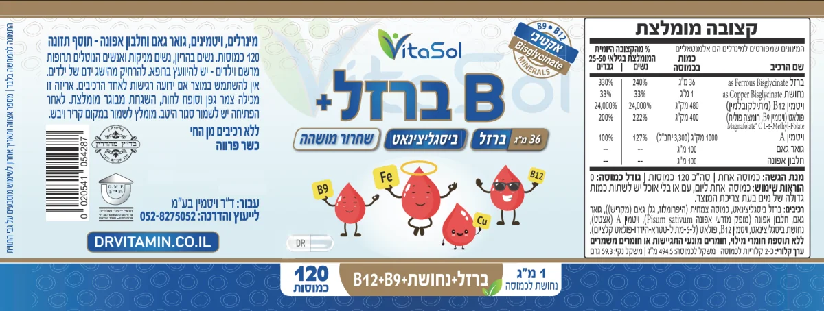 תוסף ברזל לאנמיה מחוסר ברזל, ברזל להיריון, כדורי ברזל