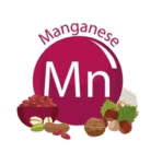 מזונות עשירים במנגן