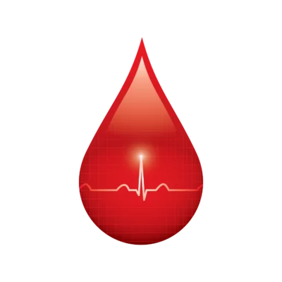 פענוח בדיקות דם